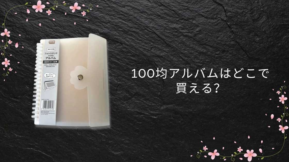 100均アルバムはどこで買える?ダイソー・セリア・キャンドゥの違いと選び方