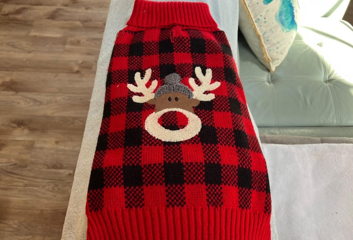 犬のクリスマス服が売ってる場所は？100均やドンキ・カインズなどで買える？販売店を調査！