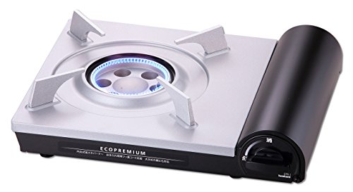 41AB2f206pL SL500