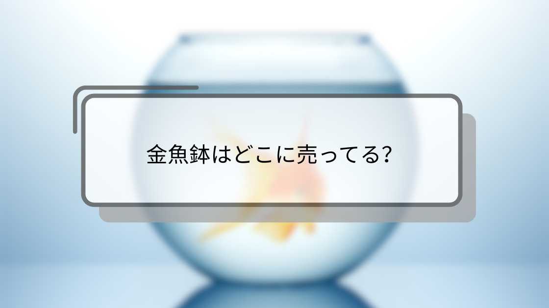 金魚鉢はどこに売ってる?