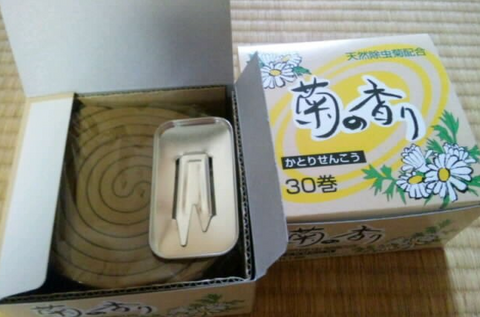 蚊取り線香はどこで売ってる?