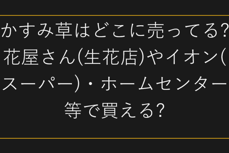 かすみ草はどこに売ってる?花屋さん(生花店)やイオン(スーパー)・ホームセンター等で買える?