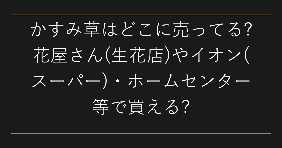 かすみ草はどこに売ってる