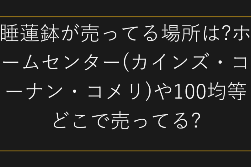 睡蓮鉢が売ってる場所は?ホームセンター(カインズ・コーナン・コメリ)や100均等どこで売ってる?