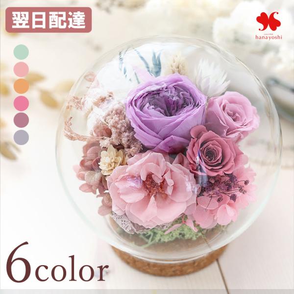 Hanayoshi y zp2111
