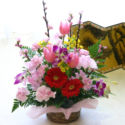 Img62389456