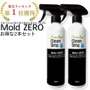 Mold 2c